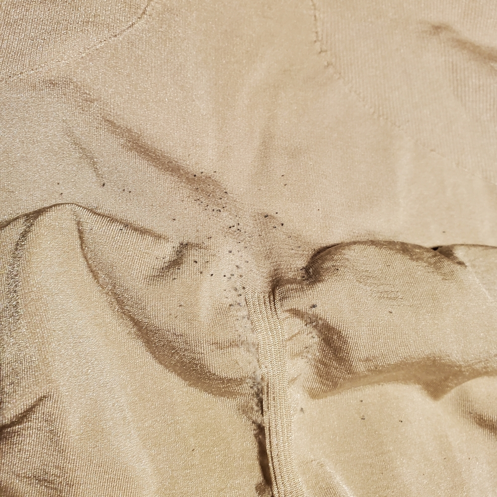 Spanx Shapewear - image 4